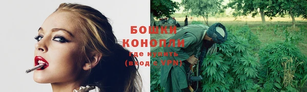 молекула духа Гусев