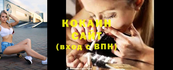 молекула духа Гусев