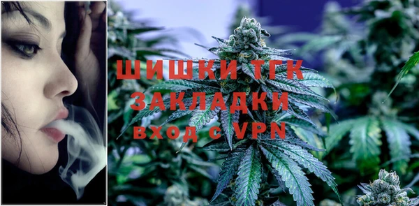 молекула духа Гусев