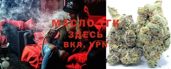 молекула духа Гусев