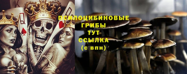 меф Гусь-Хрустальный